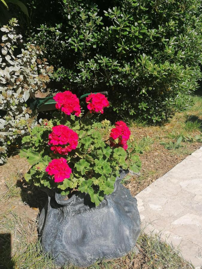 Rea Apartment Crikvenica